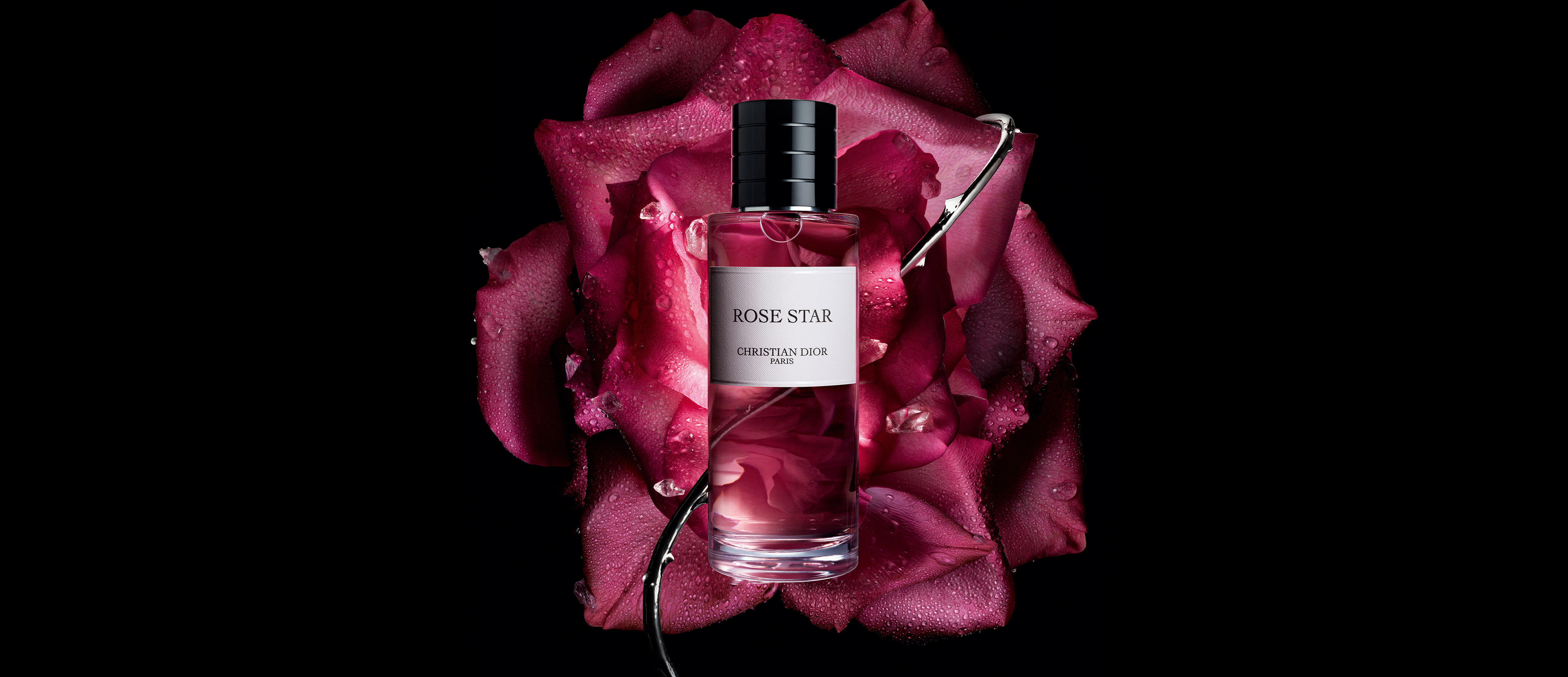 Dior ラ コレクション プリヴェ  LＡ COLLECTION PRIVEE DIOR】 新作 メゾン クリスチャン ディオール ラ コル ノワール